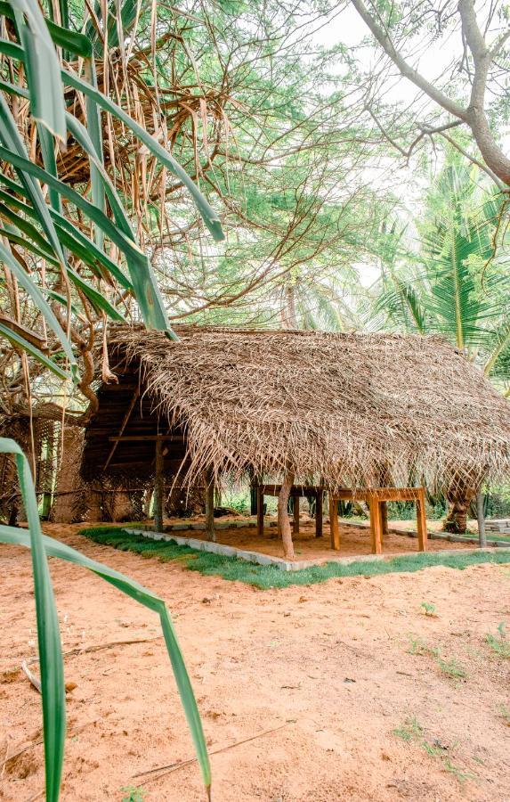 Sarada Beach Resort Yala Tissamaharama Exterior photo