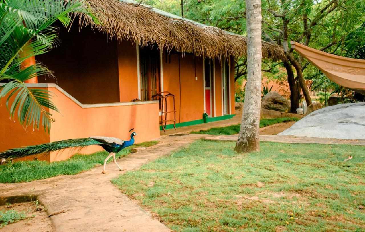 Sarada Beach Resort Yala Tissamaharama Exterior photo
